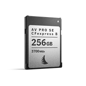 ANGELBIRD CFEXPRESS 4.0 TYPE B AV PRO SE CFEXPRESS B V4 MK2, R3700/W550 I SR2500/SW500 (4.0) 256GB
