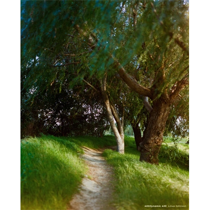 CineStill 400Dynamic Sokoldalú Színes Negatív Síkfilm (4x5" / 10,2x12,7 cm) – 25 lap