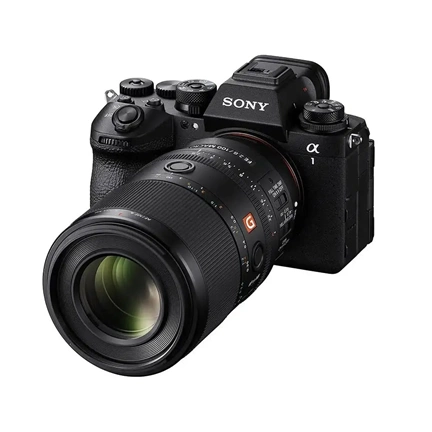 Sony SEL FE 100mm f/2.8 Macro GM OSS objektív (SEL100M28GMB.SYX)